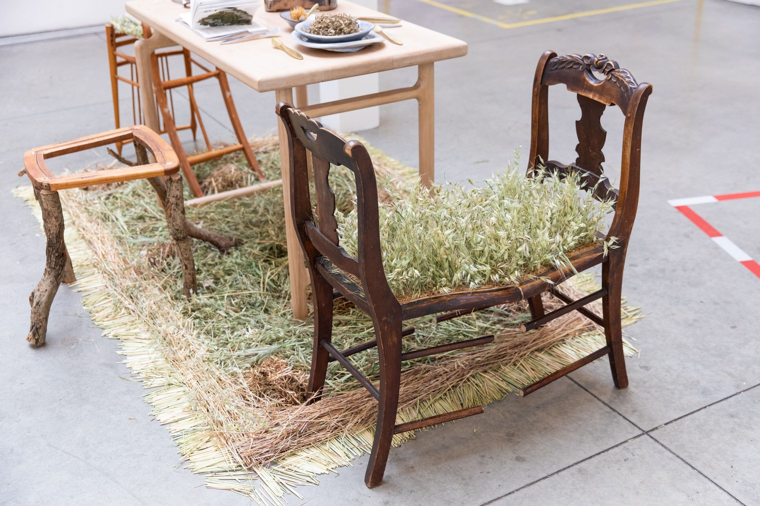 Wooden chairs and a table are repurposed as planters with grass and flora growing from their seats at a gallery installation exploring nature and function.